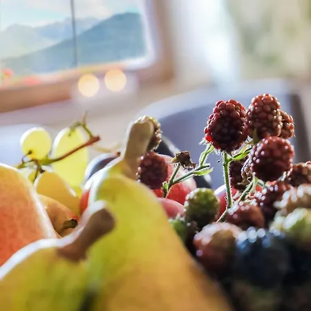 Klausenstein Gutshof Hollersbach *