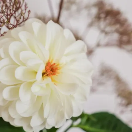 아파트 Klausenstein Gutshof Hollersbach *