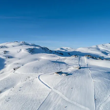 公寓 Klausenstein Gutshof Hollersbach *