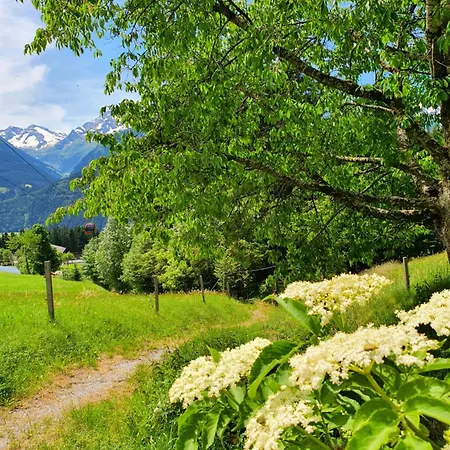 Klausenstein Gutshof Hollersbach * 胡勒斯巴赫平