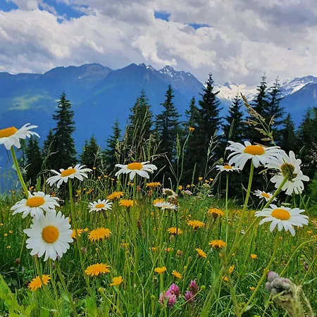 아파트 Klausenstein Gutshof Hollersbach *