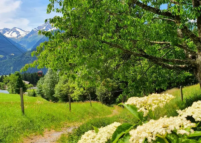 Klausenstein Gutshof Hollersbach * Hollersbach im Pinzgau