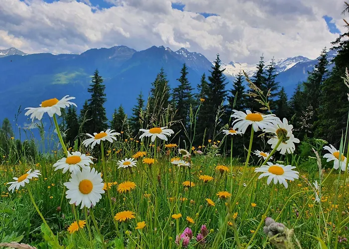 Daire Klausenstein Gutshof Hollersbach *